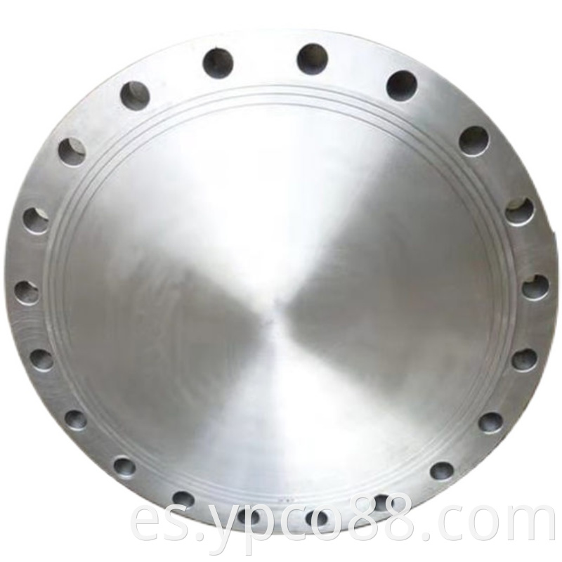 BLIND FLANGE